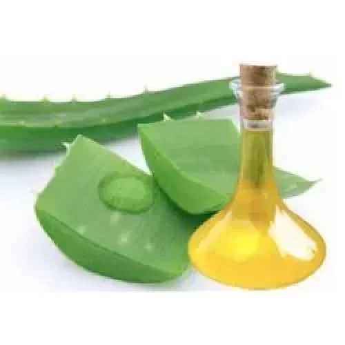 Aloe-Vera-Perfume-Dalit-Solutions.webp